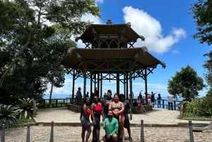 Rio de Janeiro: Christ Statue, City, & Rainforest Tour