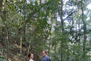 Rio de Janeiro: Christ Statue, City, & Rainforest Tour
