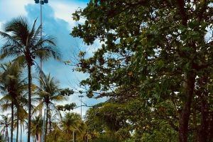 Bike Tour of Rio’s City Center & Coastline!