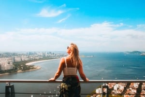 Rio de Janeiro: City tour - A Day with a local