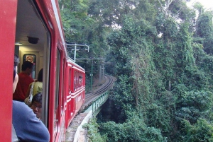 Rio de Janeiro: City tour - A Day with a local