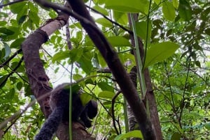 Rio de Janeiro: Dois Irmãos Peak Sunrise, Day or Sunset Hike