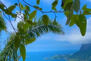 Rio de Janeiro: Dois Irmãos Peak Sunrise, Day or Sunset Hike