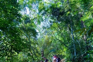 Rio de Janeiro: Dois Irmãos Peak Sunrise, Day or Sunset Hike