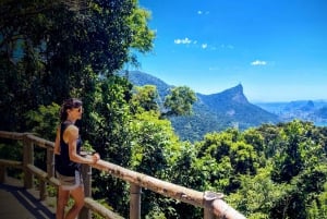 Rio de Janeiro Nature Secrets 'The Eco Citytour'