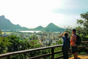 Rio de Janeiro Nature Secrets 'The Eco Citytour'