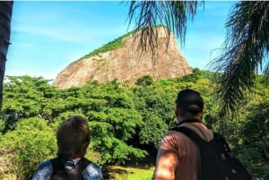 Rio de Janeiro Nature Secrets 'The Eco Citytour'
