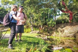 Rio de Janeiro Nature Secrets 'The Eco Citytour'