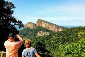 Rio de Janeiro Nature Secrets 'The Eco Citytour'