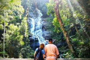 Rio de Janeiro Nature Secrets 'The Eco Citytour'