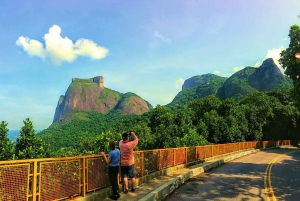 Rio de Janeiro Nature Secrets 'The Eco Citytour'