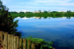 Rio de Janeiro Nature Secrets 'The Eco Citytour'