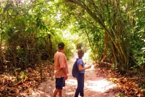 Rio de Janeiro Nature Secrets 'The Eco Citytour'