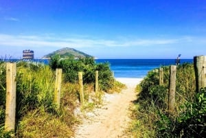 Rio de Janeiro Nature Secrets 'The Eco Citytour'