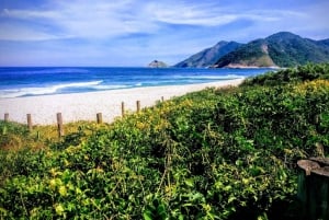 Rio de Janeiro Nature Secrets 'The Eco Citytour'