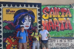 Rio de Janeiro: Favela Santa Marta Top Tour with Local Guide