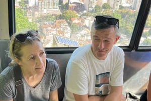 Rio de Janeiro: Favela Santa Marta Top Tour with Local Guide