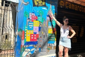 Rio de Janeiro: Favela Santa Marta Top Tour with Local Guide