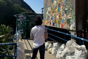 Rio de Janeiro: Favela Santa Marta Top Tour with Local Guide