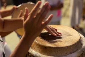 Rio de Janeiro: Favela Santa Marta Top Tour with Local Guide