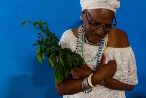 Rio de Janeiro: Favela Santa Marta Top Tour with Local Guide