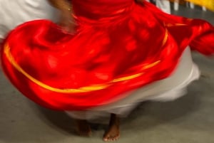 Rio de Janeiro: Favela Santa Marta Top Tour with Local Guide