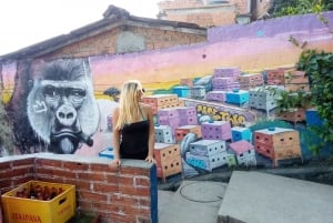 Rio de Janeiro: the biggest favela tour in Rio, lest go!