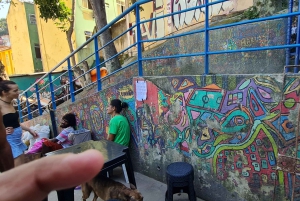 Rio de Janeiro: Favela Santa Marta Tour with Resident Guide