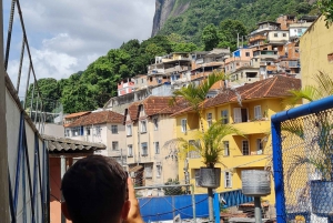 Rio de Janeiro: Favela Santa Marta Tour with Resident Guide