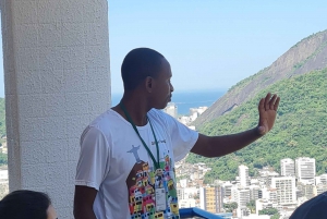 Rio de Janeiro: Favela Santa Marta Tour with Resident Guide