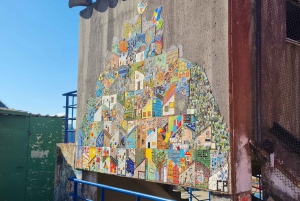 Rio de Janeiro: Favela Santa Marta Tour with Resident Guide