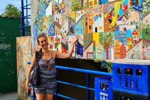 Rio de Janeiro: Favela Santa Marta Tour with Resident Guide
