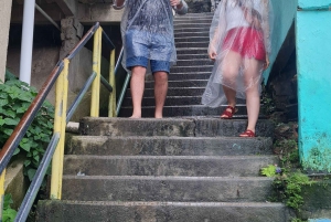 Rio de Janeiro: Favela Santa Marta Tour with Resident Guide