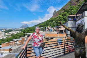 Rio de Janeiro: Favela Santa Marta Tour with Resident Guide