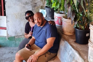Rio de Janeiro: Favela Santa Marta Tour with Resident Guide