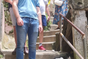 Rio de Janeiro: Favela Santa Marta Tour with Resident Guide