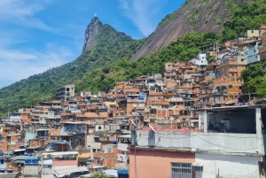 Rio de Janeiro: Favela Santa Marta Tour with Resident Guide