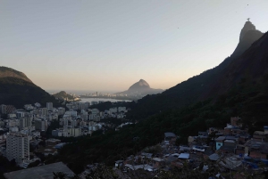 Rio de Janeiro: Favela Santa Marta Tour with Resident Guide
