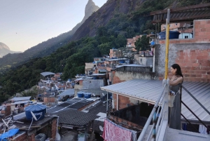 Rio de Janeiro: Favela Santa Marta Tour with Resident Guide