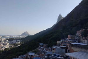 Rio de Janeiro: Favela Santa Marta Tour with Resident Guide