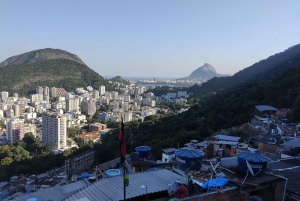 Rio de Janeiro: Favela Santa Marta Tour with Resident Guide