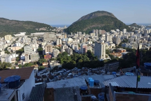 Rio de Janeiro: Favela Santa Marta Tour with Resident Guide