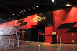 Rio de Janeiro: Flamengo Museum Ticket Entrance