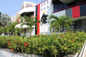 Rio de Janeiro: Flamengo Museum Ticket Entrance