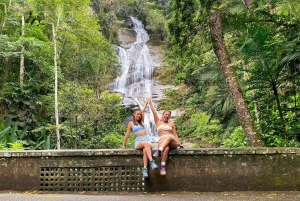 Rio de Janeiro: Floresta da Tijuca, cachoeiras e gruta.