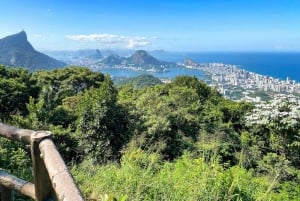 Rio de Janeiro: Floresta da Tijuca, cachoeiras e gruta.