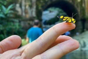 Rio de Janeiro: Floresta da Tijuca, cachoeiras e gruta.
