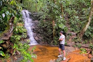Rio de Janeiro: Floresta da Tijuca, cachoeiras e gruta.