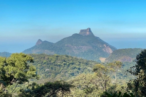 Rio de Janeiro: Floresta da Tijuca, cachoeiras e gruta.