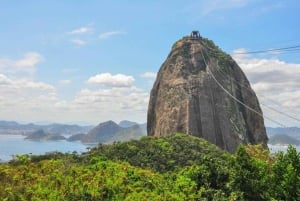 Rio de Janeiro: Full-day Tour with Buffet Lunch & Transfers